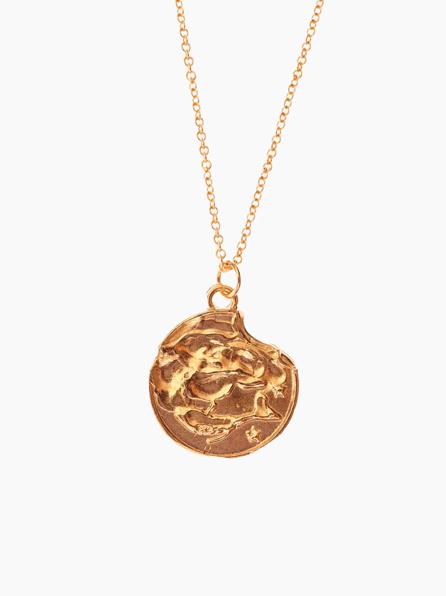 Zodiac Medallion Necklace