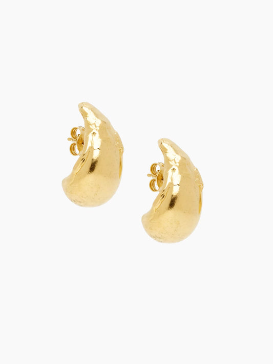 Abundant Dream Hoop Earrings