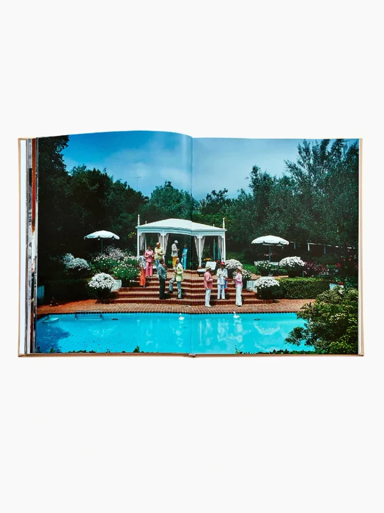 The Stylish Life: Cocktail Parties Book