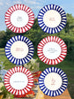 Happy Birthday America Plates Set of 6