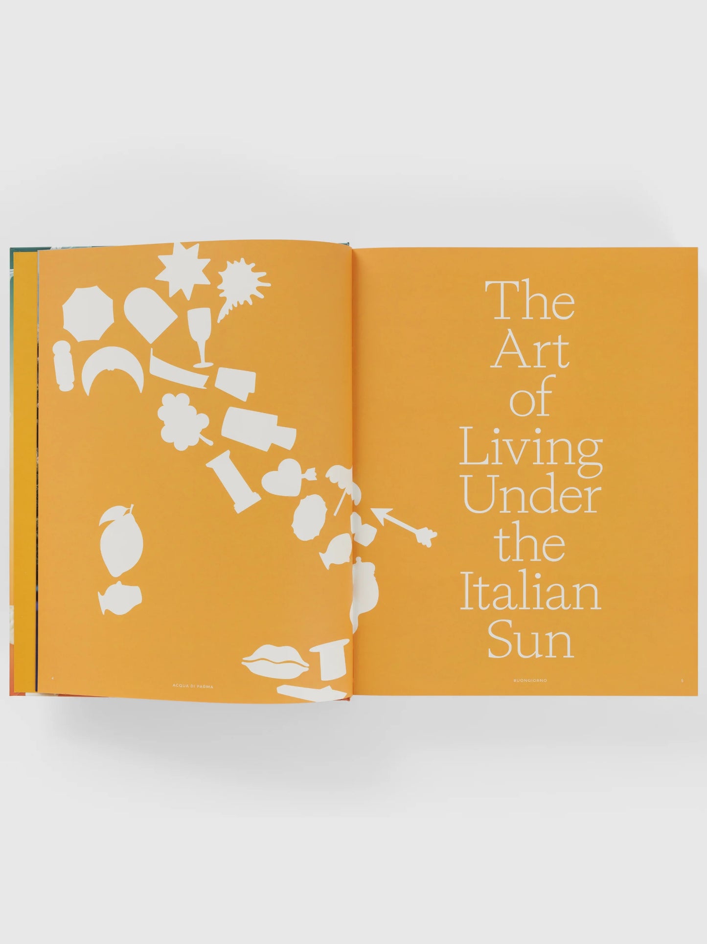 Buongiorno The Art of Living Under the Italian Sun Book