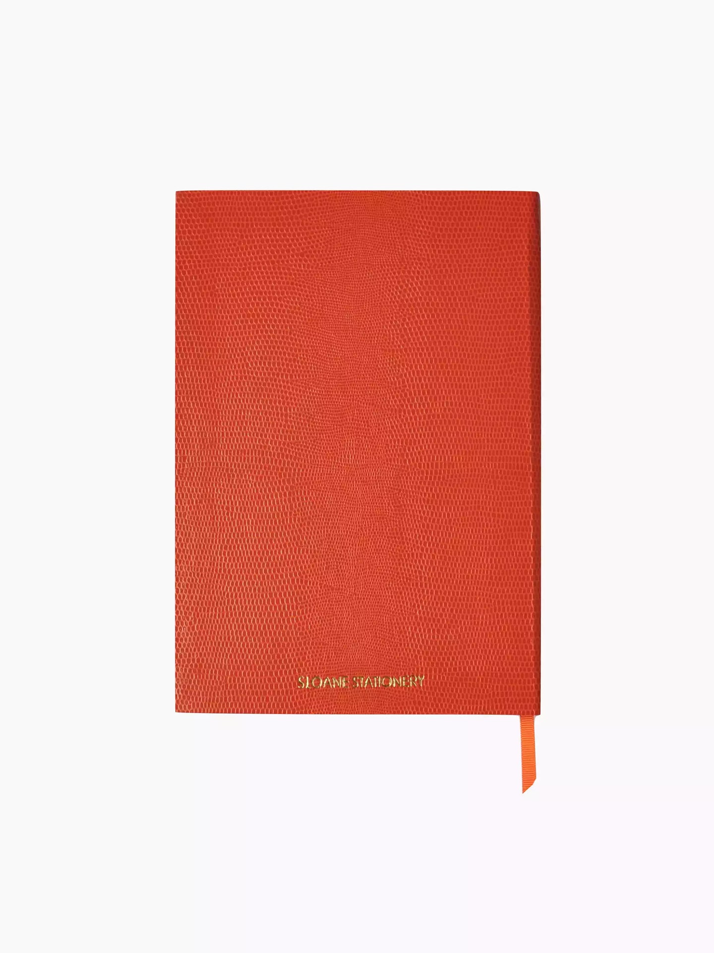 Artsy Type 2026 Diary