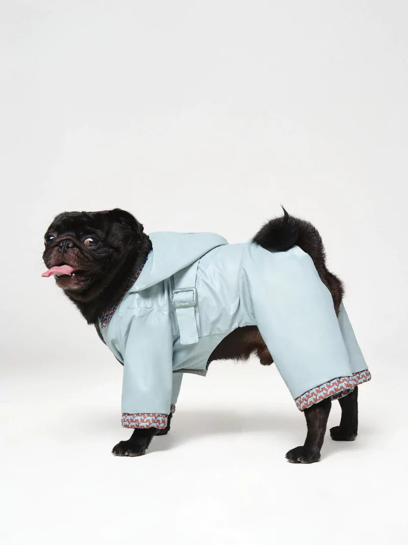 Blue Waterproof Full Dog Suit