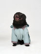 Blue Waterproof Full Dog Suit