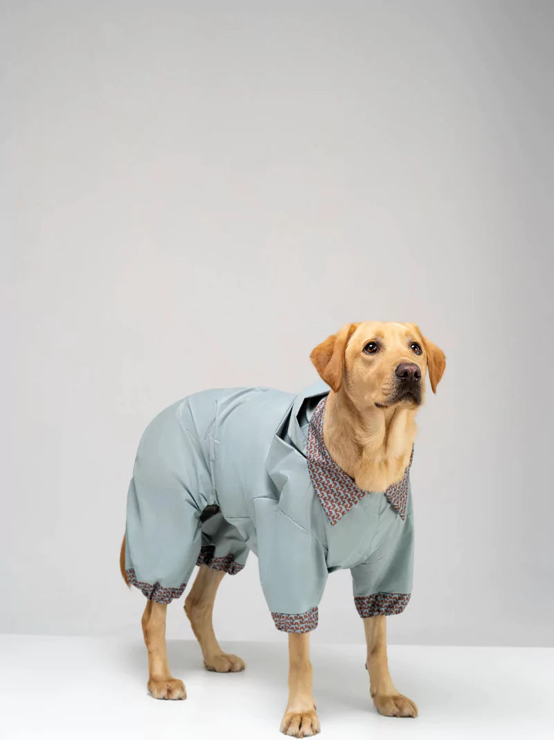 Blue Waterproof Full Dog Suit