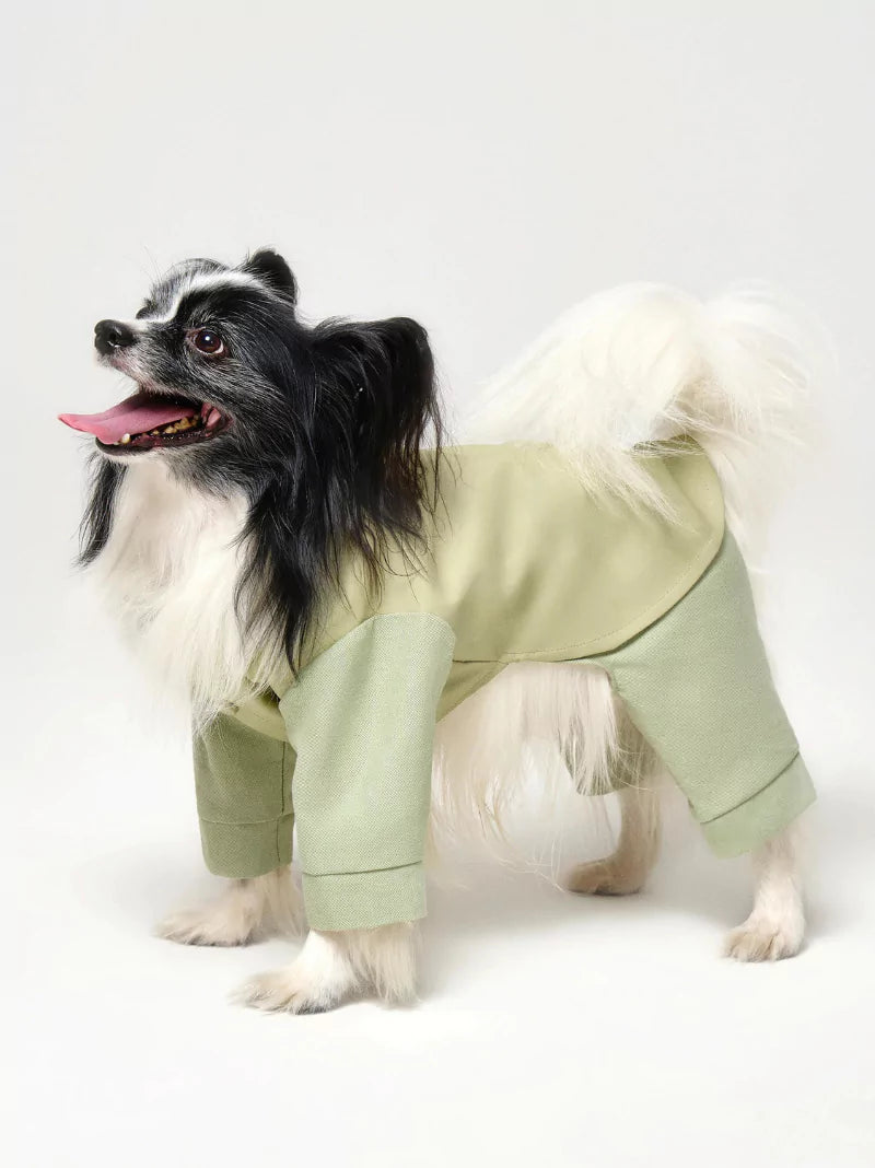 Green Full Dog Suit