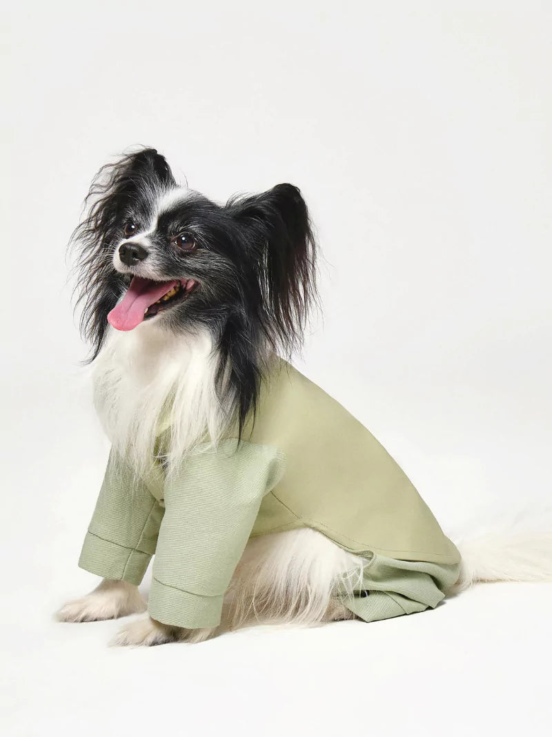 Green Full Dog Suit