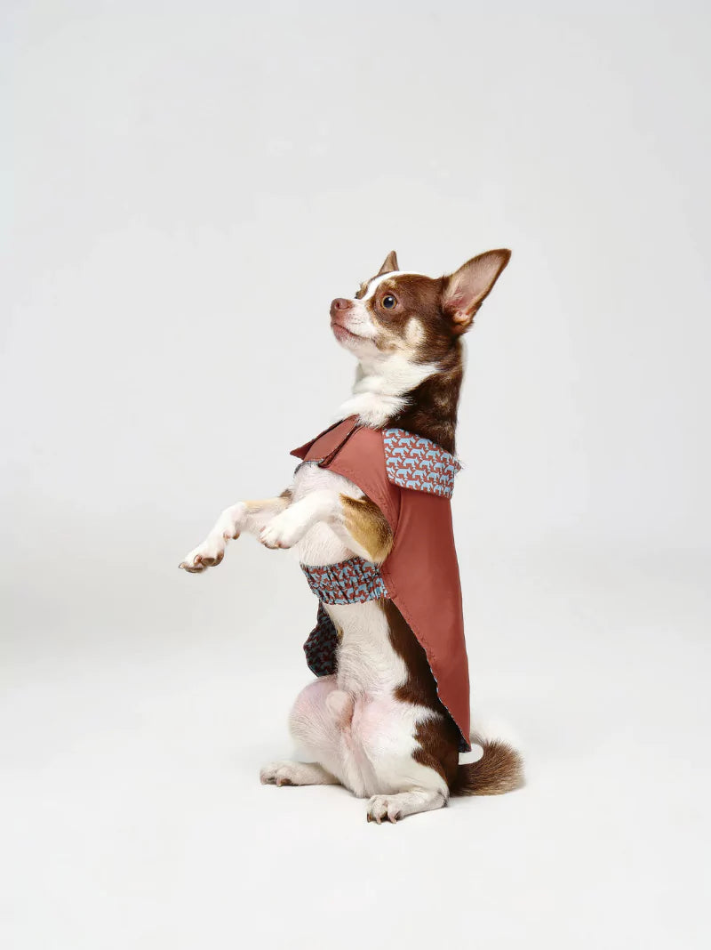 Brown Reversible Pattern Dog Coat