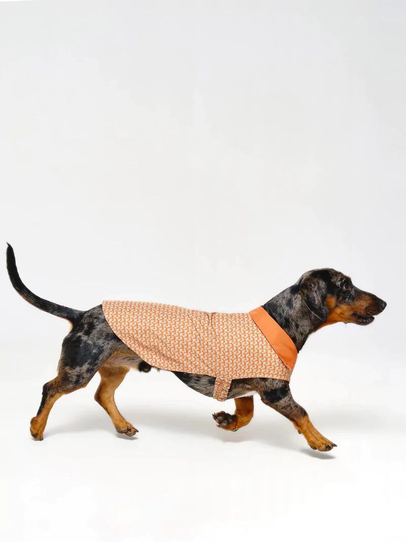 Orange Reversible Pattern Dog Coat