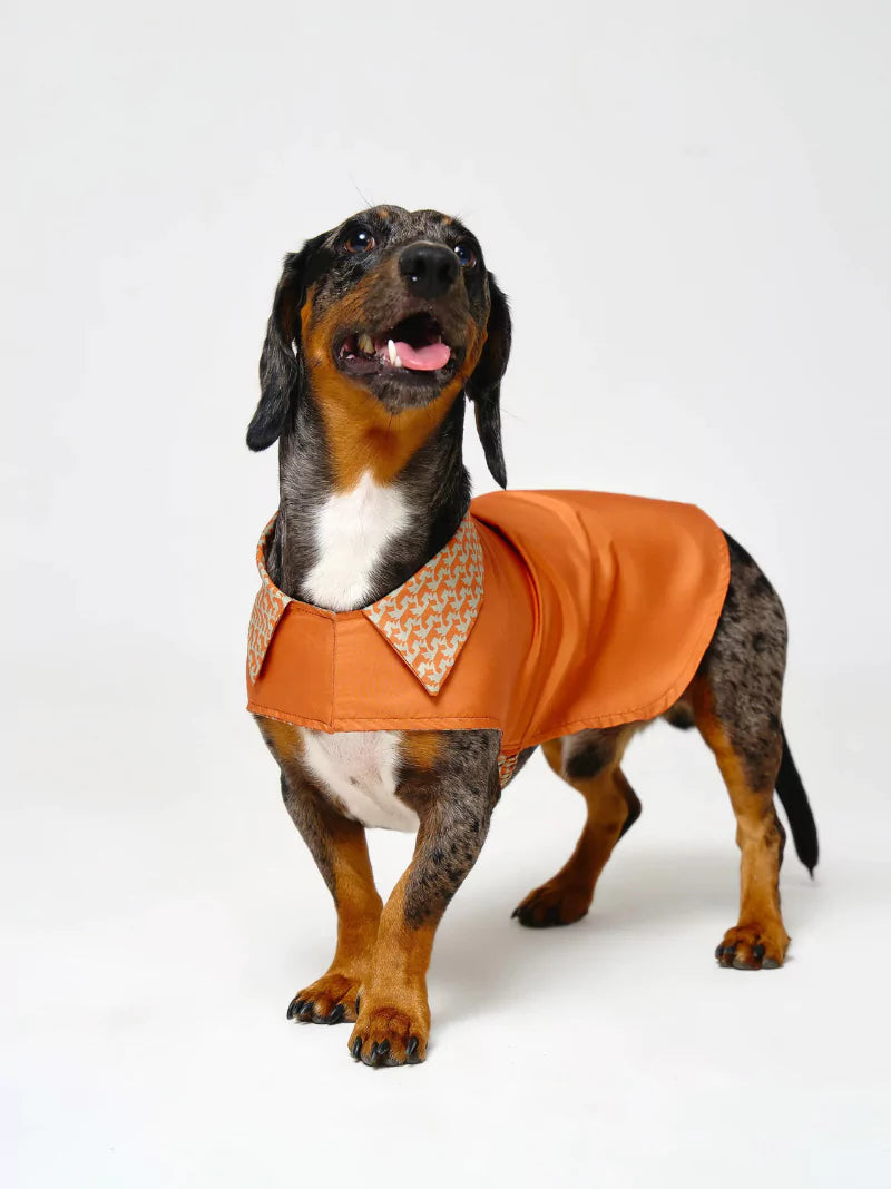 Orange Reversible Pattern Dog Coat