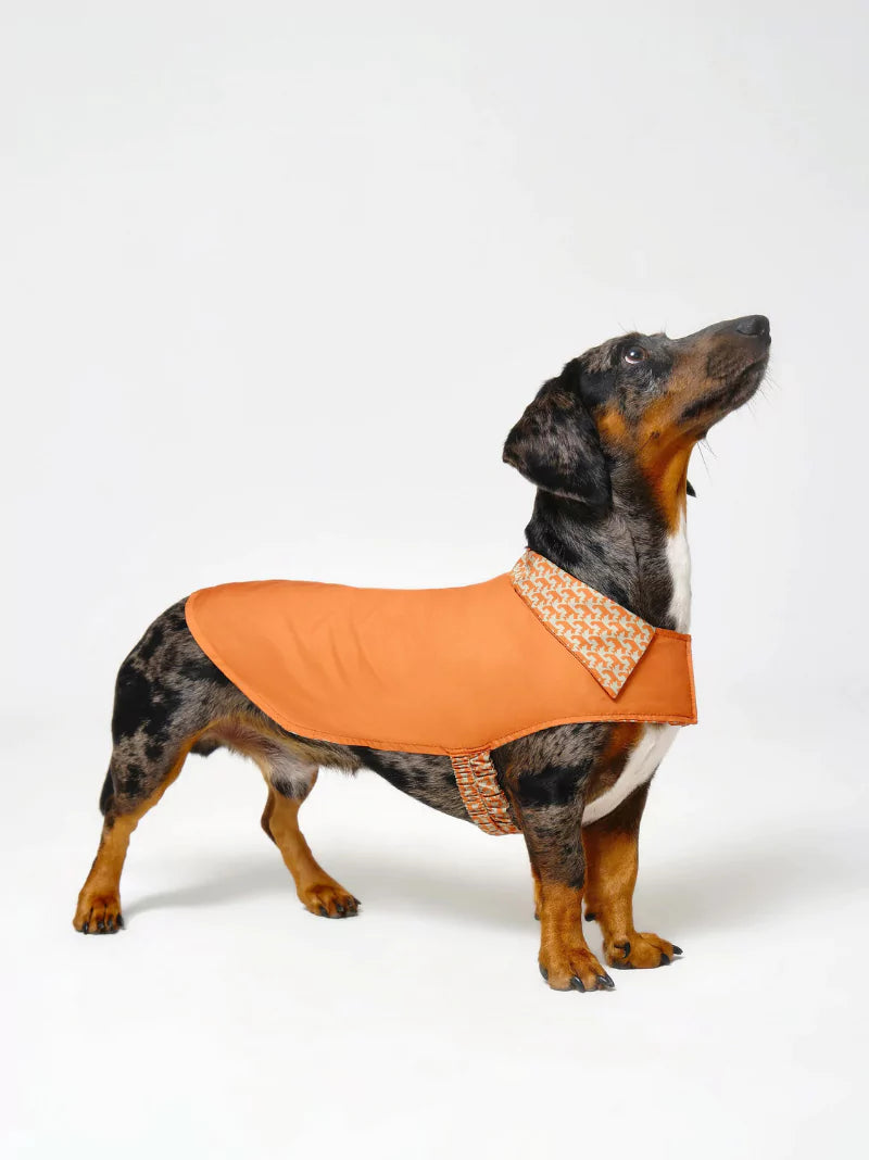 Orange Reversible Pattern Dog Coat