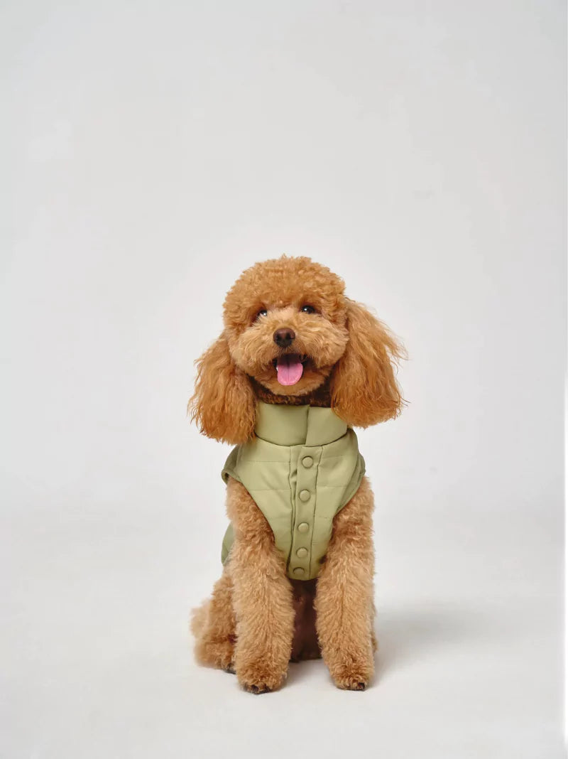 Green Vegan Leather Quilted Dog Coat