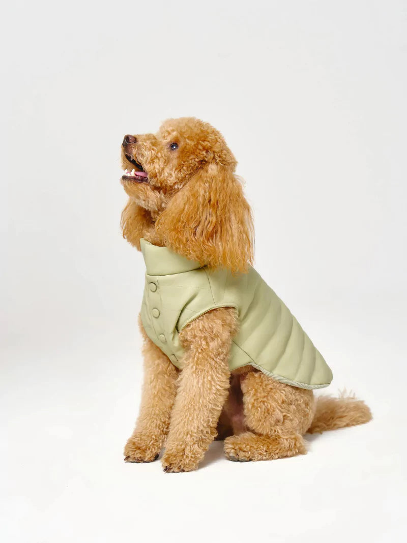 Green Vegan Leather Quilted Dog Coat