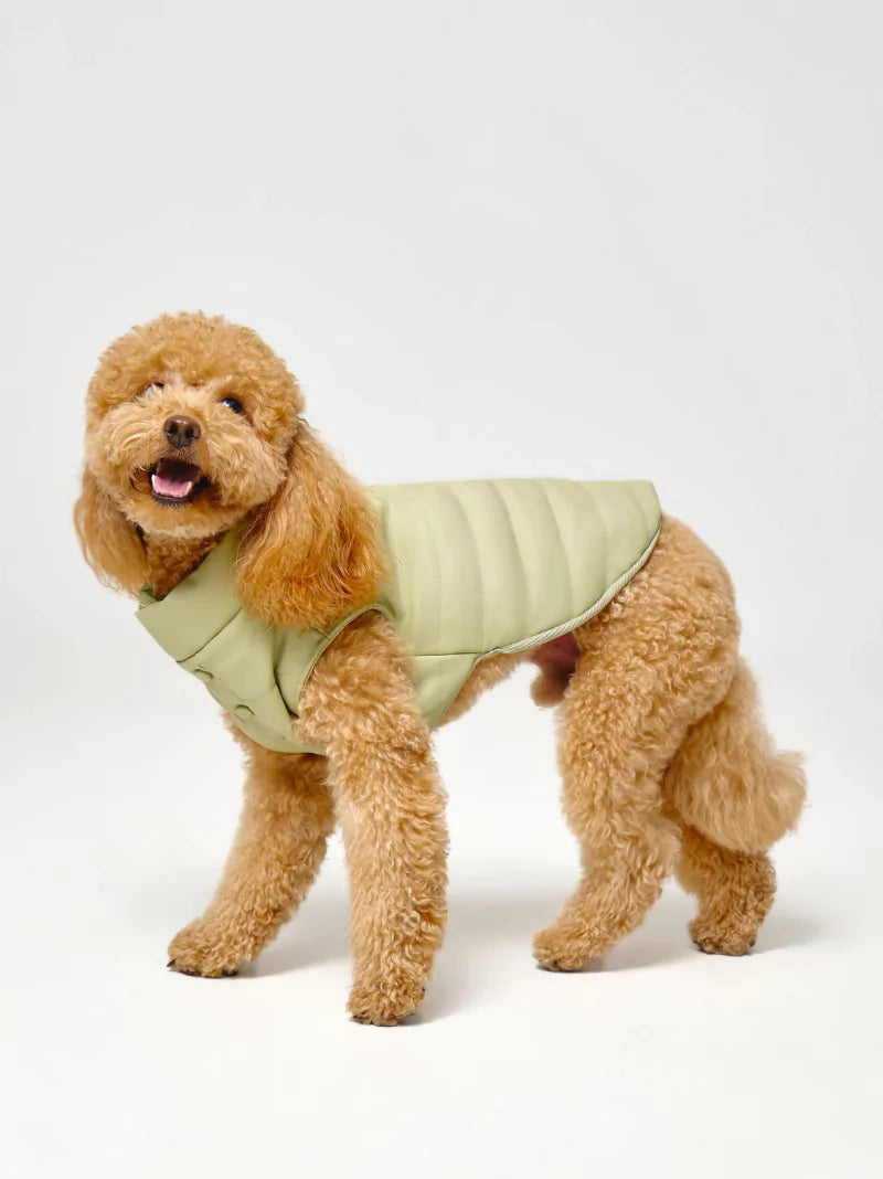 Green Vegan Leather Quilted Dog Coat