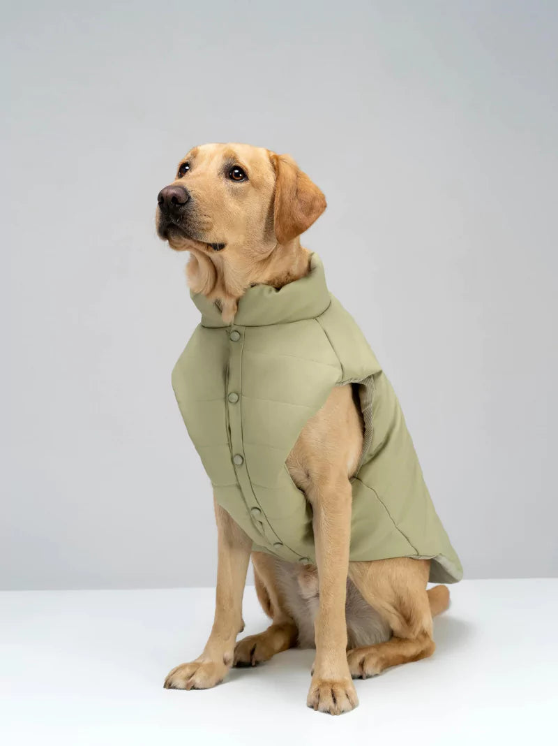 Green Vegan Leather Quilted Dog Coat