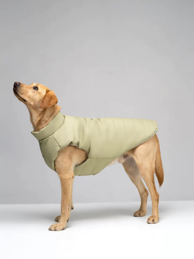 Green Vegan Leather Quilted Dog Coat