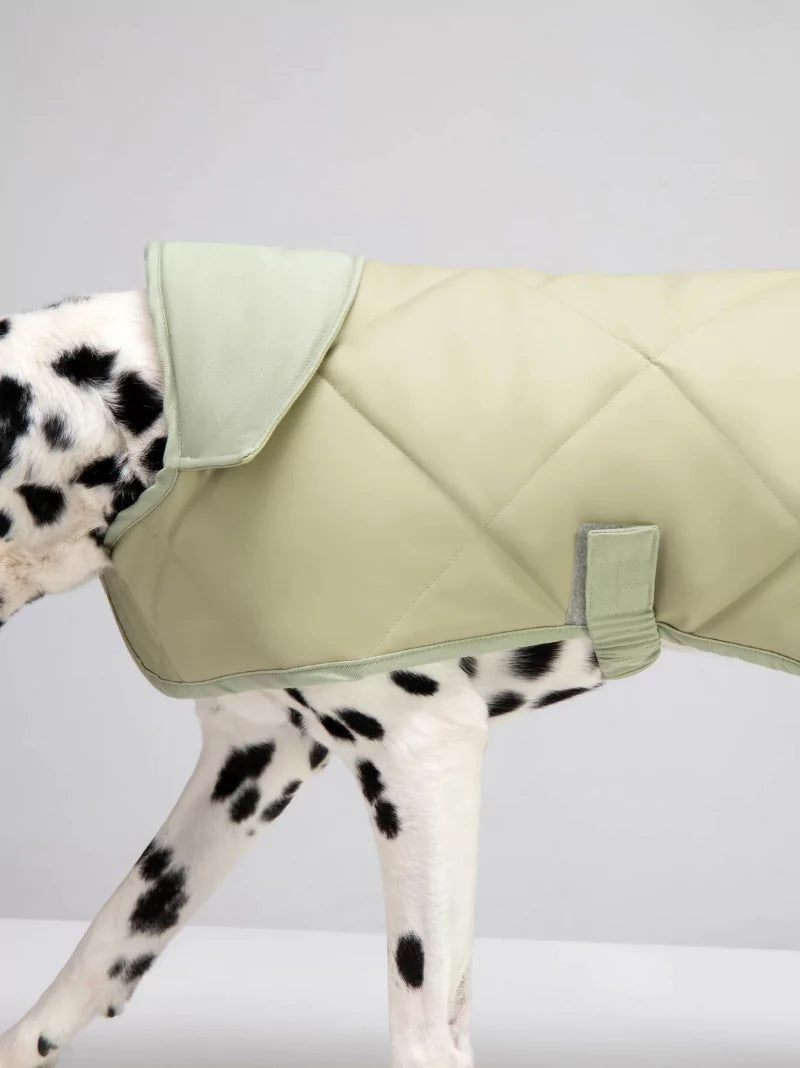 Pistachio Quilted Dog Coat