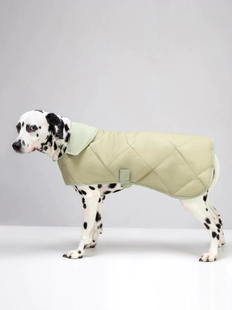 Pistachio Quilted Dog Coat