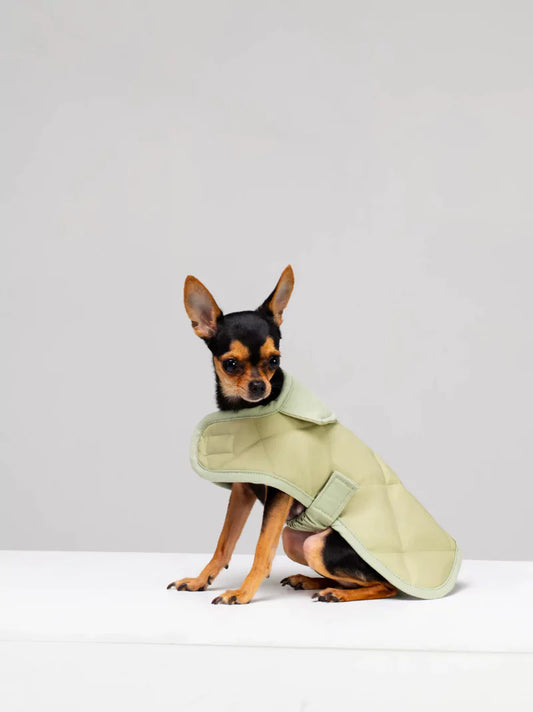 Pistachio Quilted Dog Coat