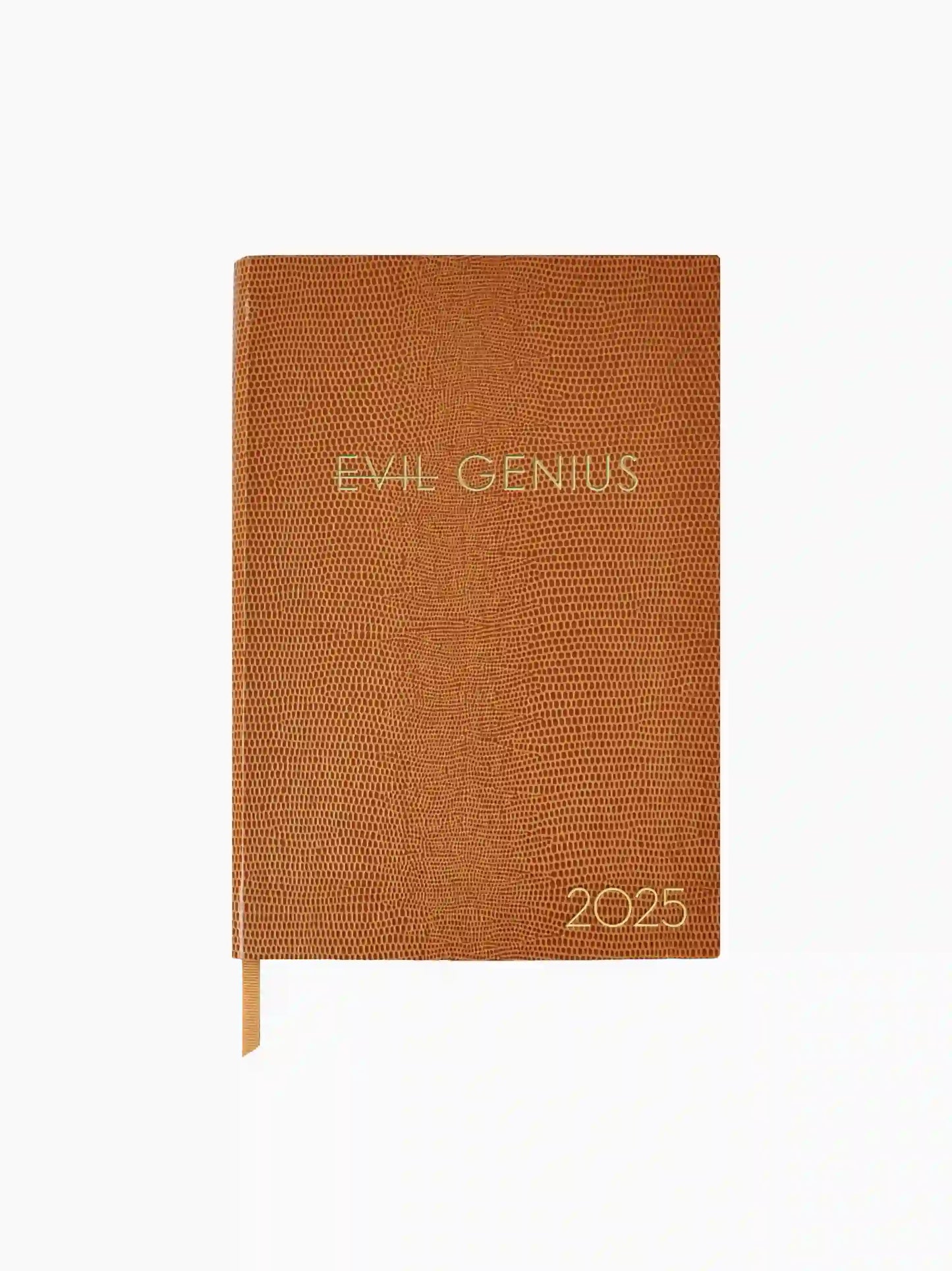 Evil Genius 2025 Diary