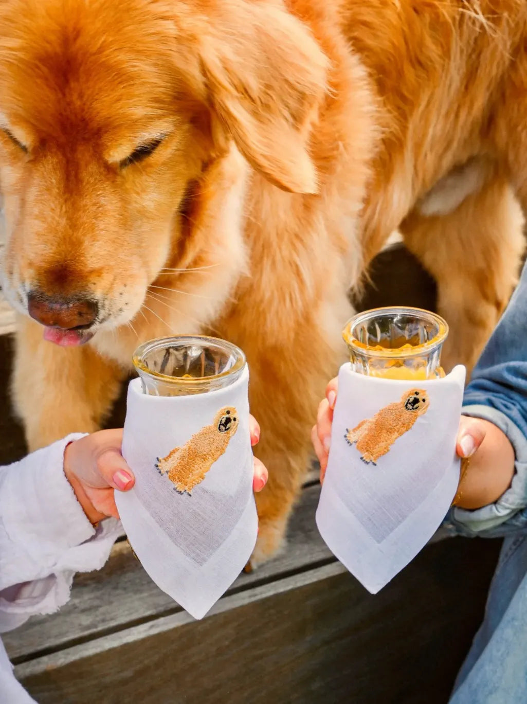 Golden Retriever Cocktail Napkins