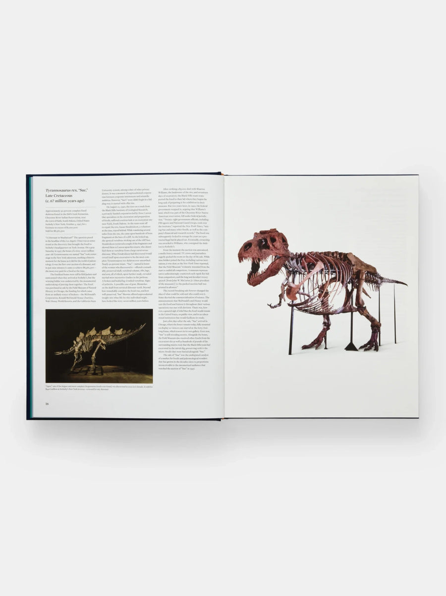 Icons: 100 Extraordinary Objects from Sotheby's History Book