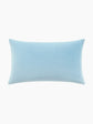 Introverts Live Here Needlepoint Cushion