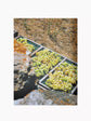 Pantelleria Bastien Lattanzio Coffee Table Book
