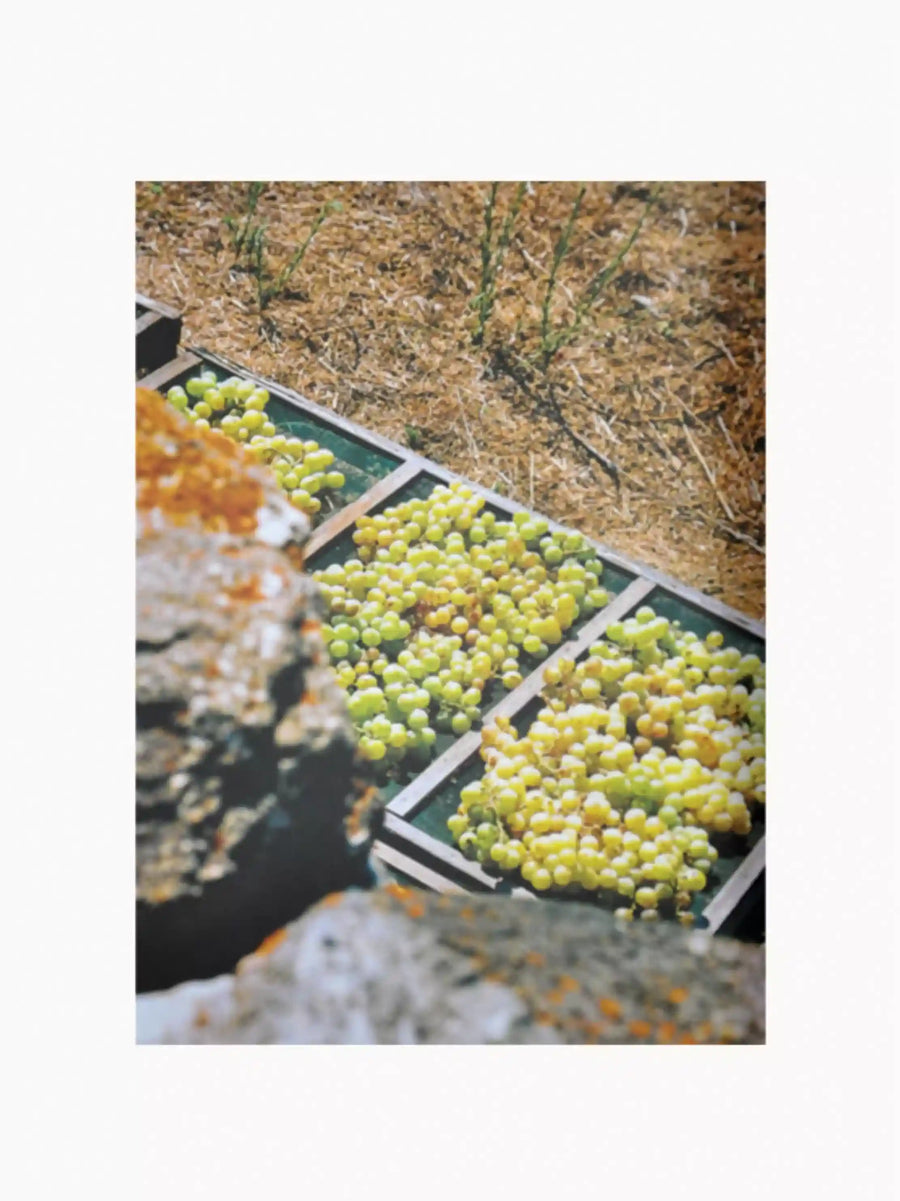 Pantelleria Bastien Lattanzio Coffee Table Book