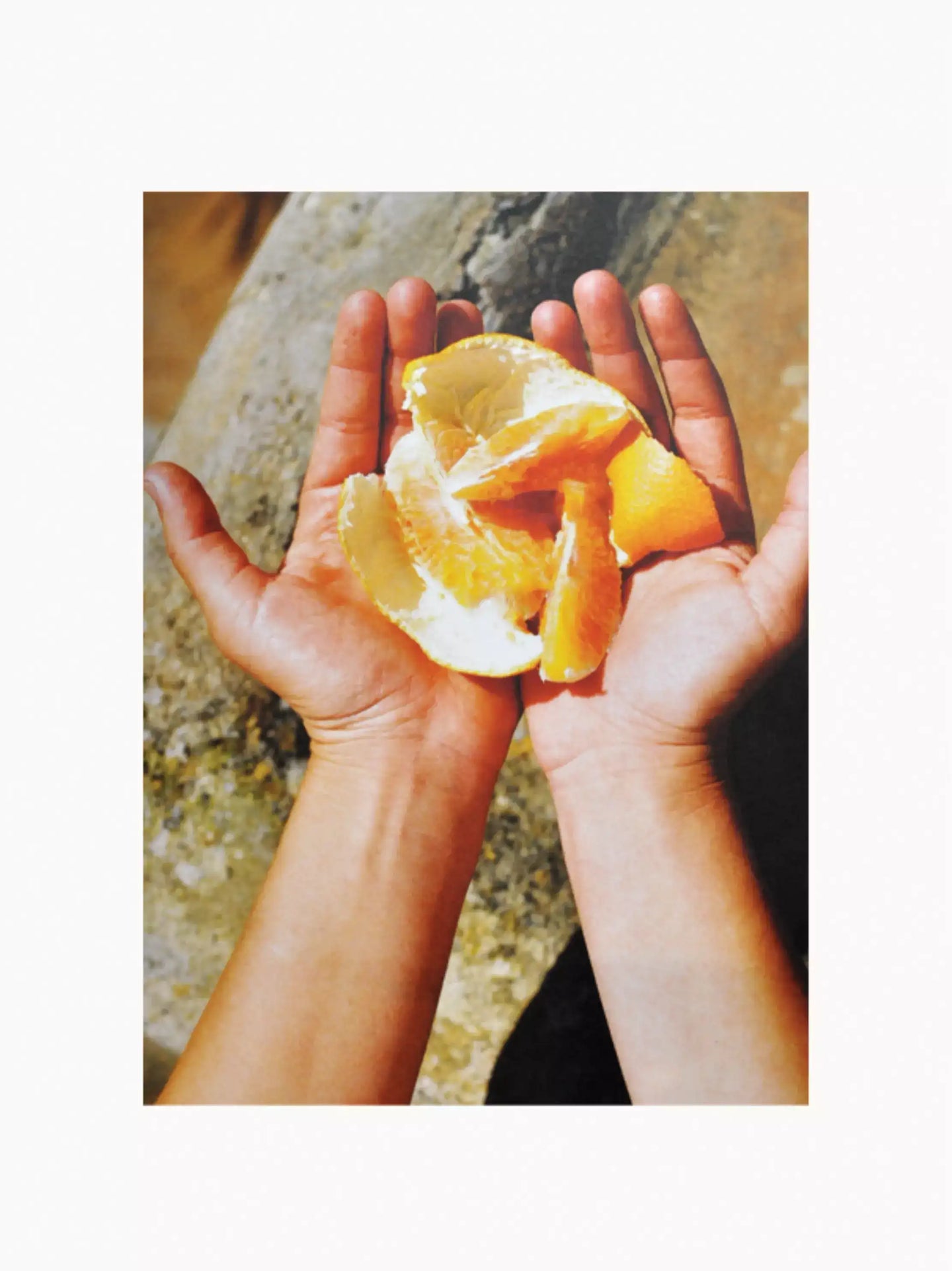 Riviera by Bastien Lattanzio Coffee Table Book