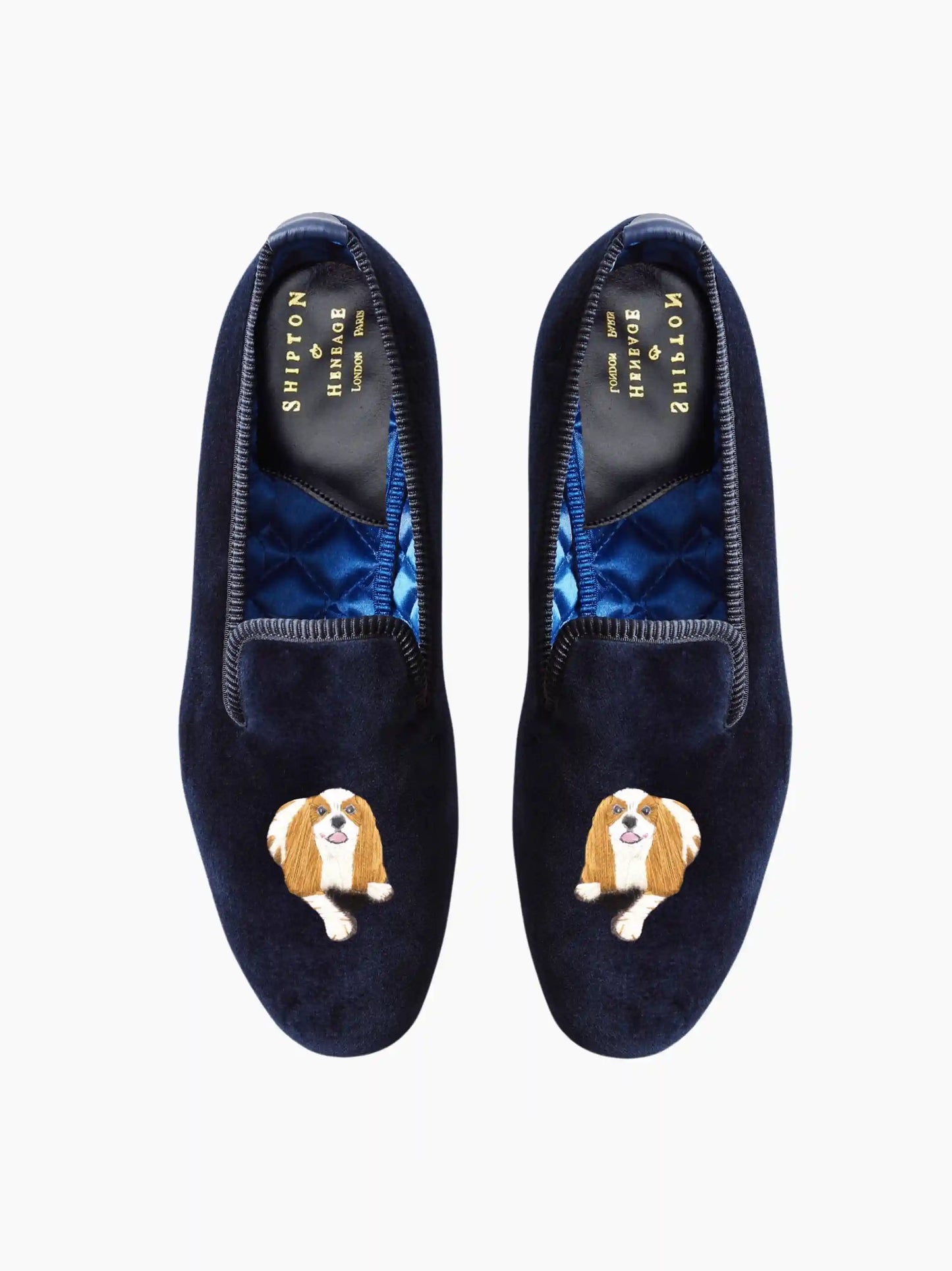 Spaniel Slippers The Go To