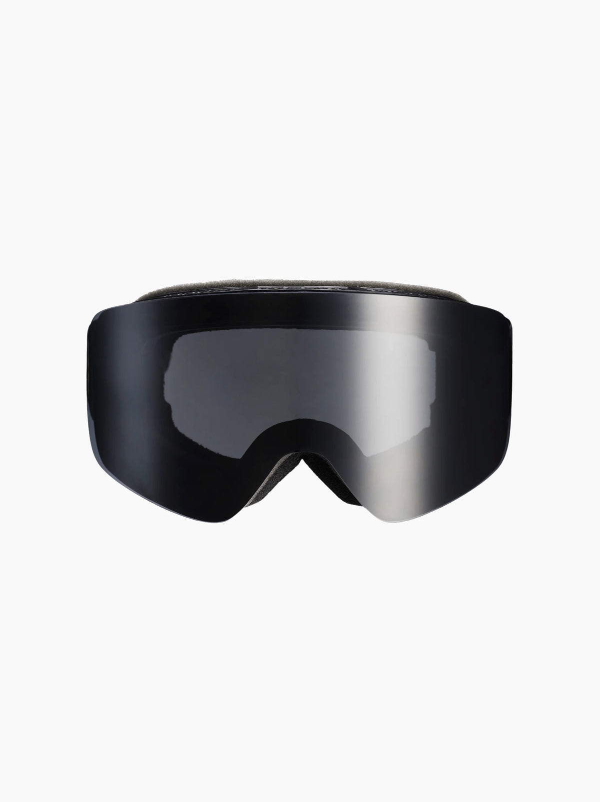 Freerider Ski Goggles