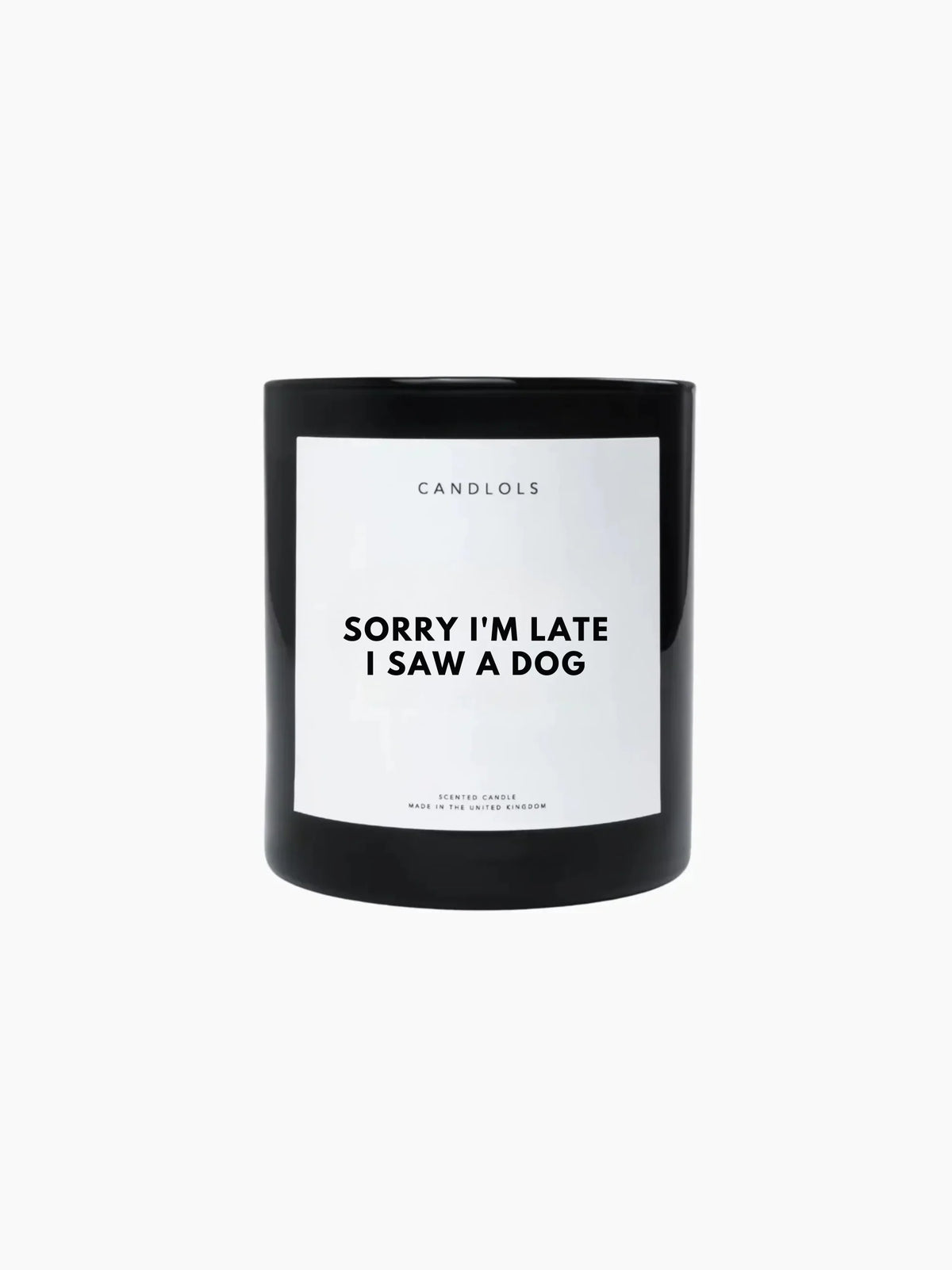 Sorry I'm Late I Saw A Dog Candle