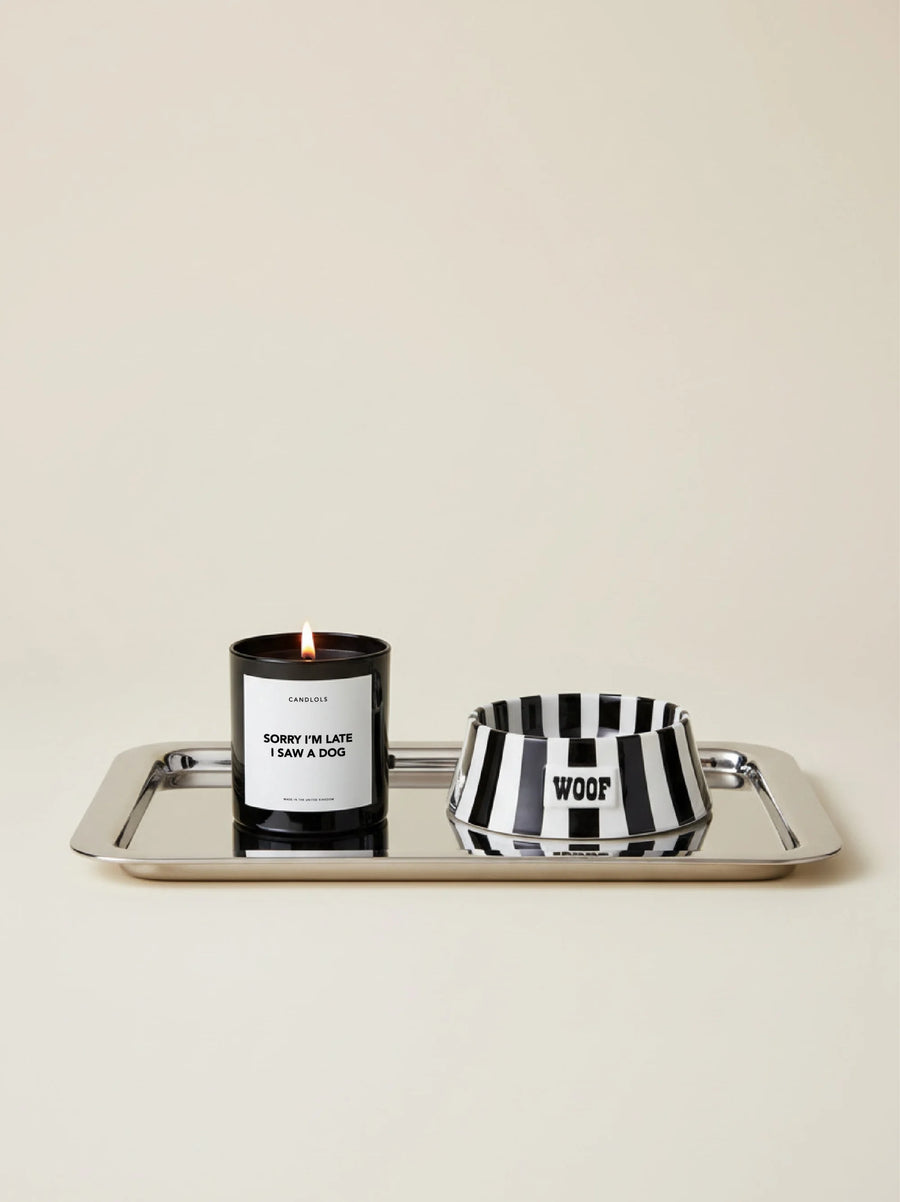 Sorry I'm Late I Saw A Dog Candle