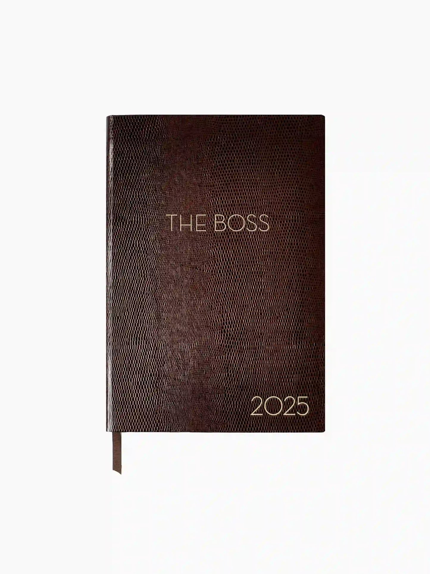 The Boss 2025 Diary