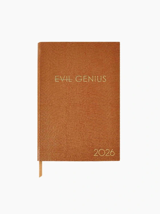 Evil Genius 2026 Diary
