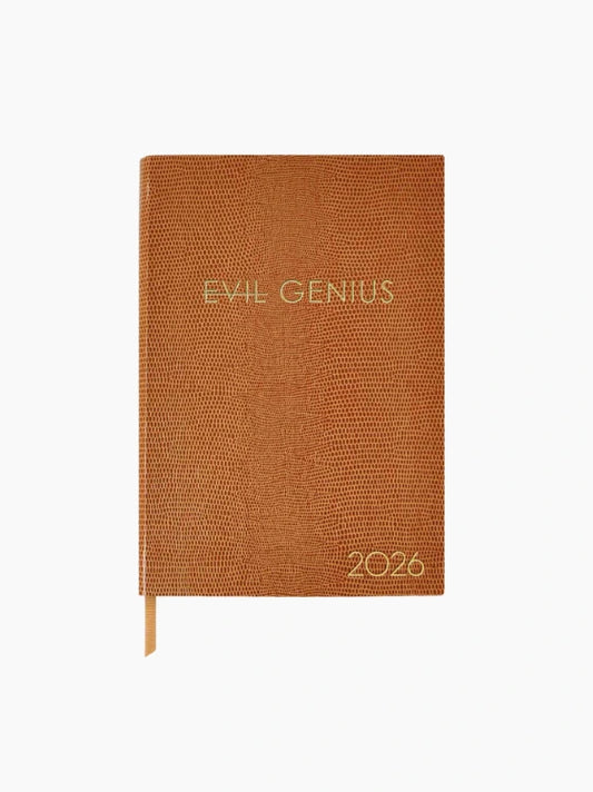 Evil Genius 2026 Diary