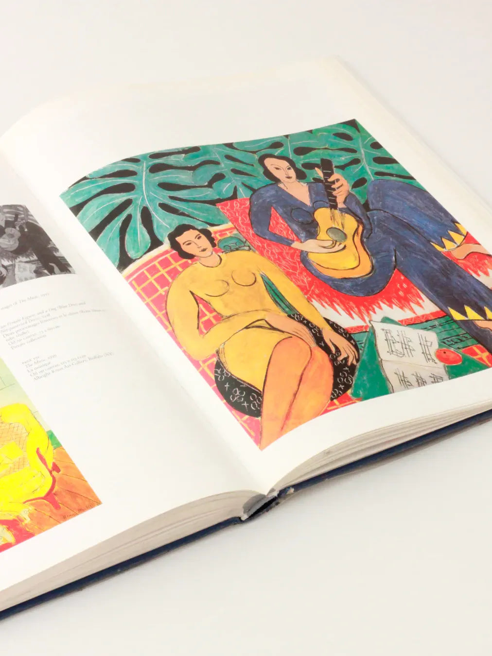 Matisse Book