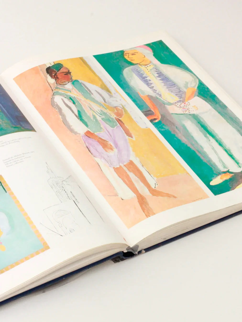 Matisse Book