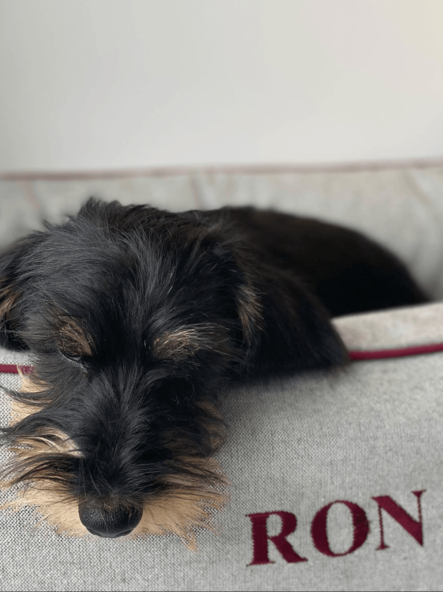 Dog Bed