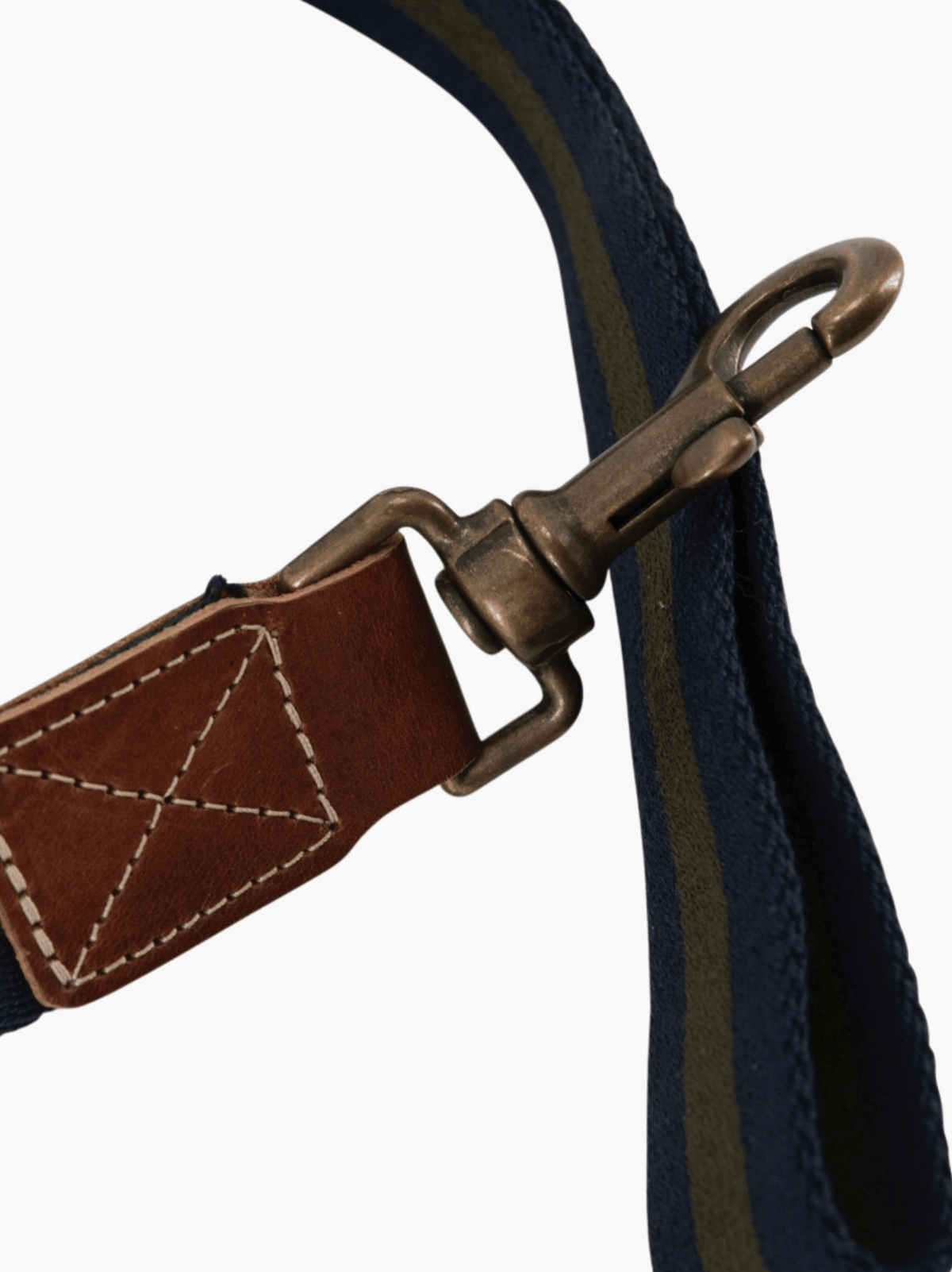 Dog Leash