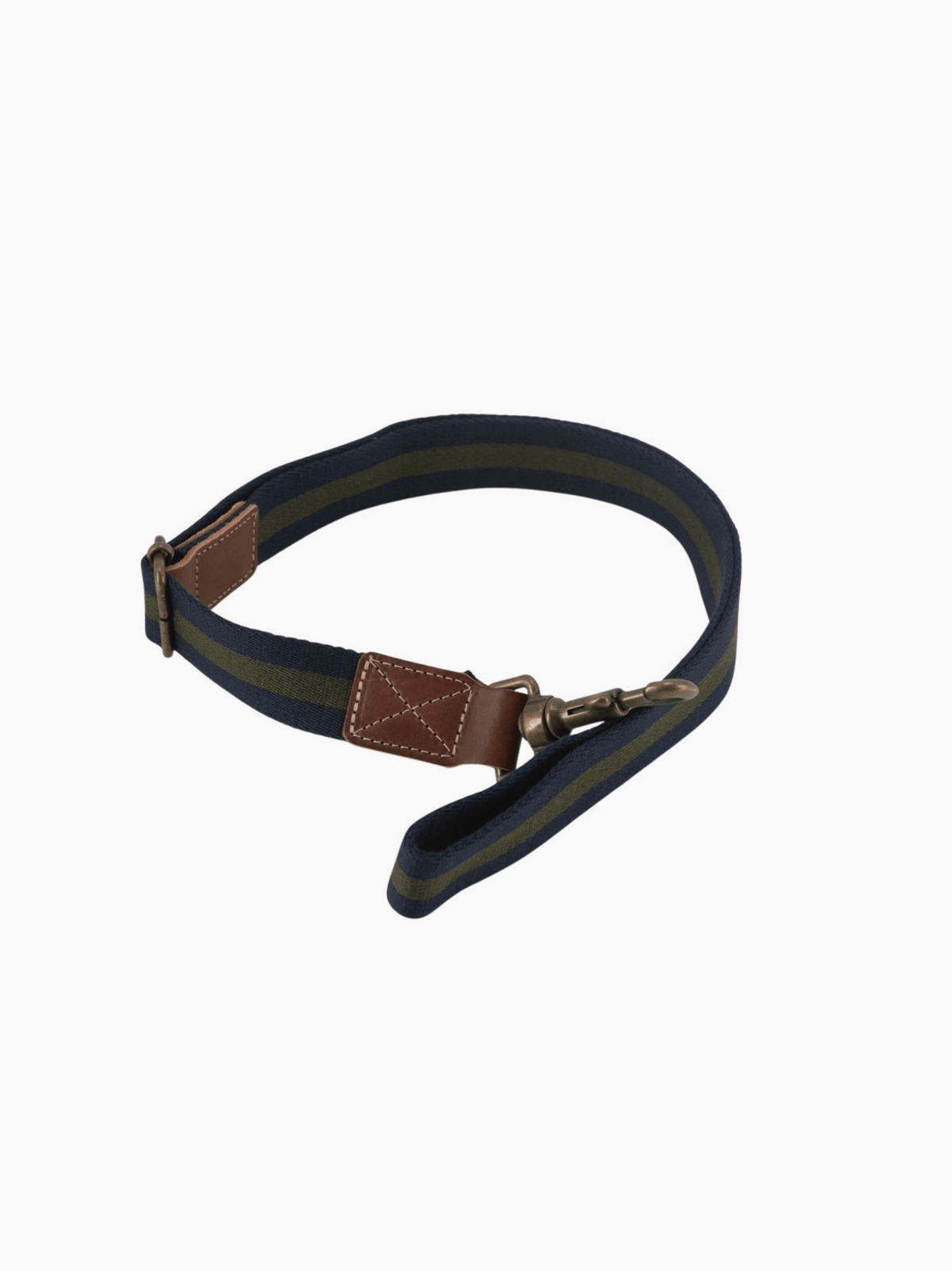 Dog Leash
