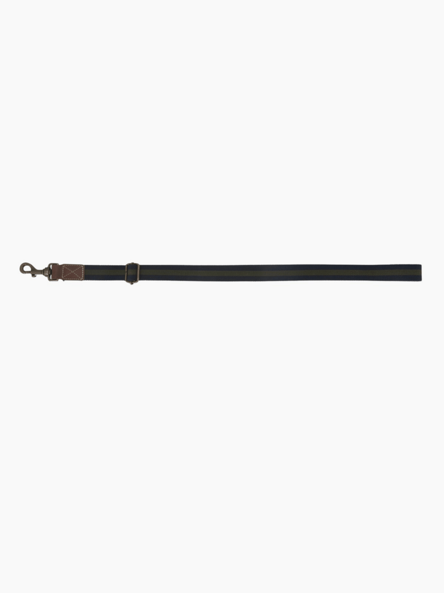 Dog Leash