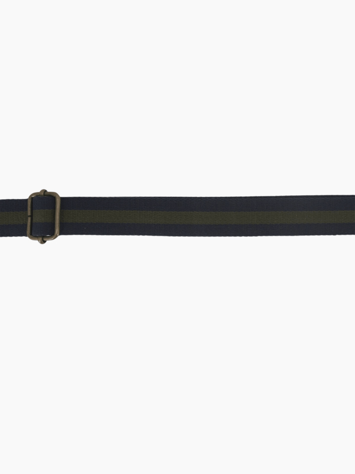 Dog Leash