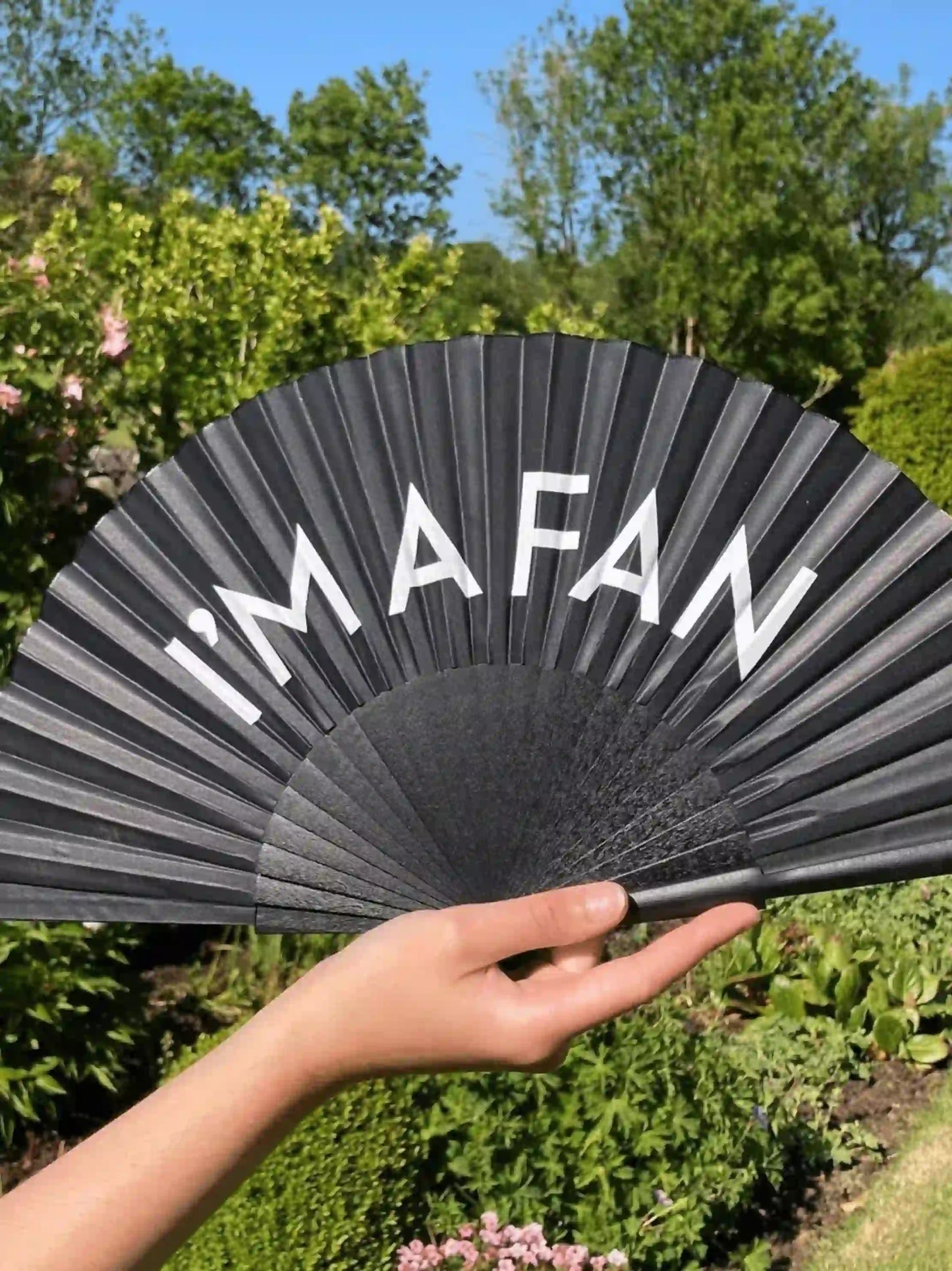 I'm a Fan Hand Fan