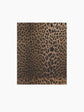 Animal Print Mini Book Box
