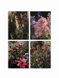 The Avant Gardens Coffee Table Book