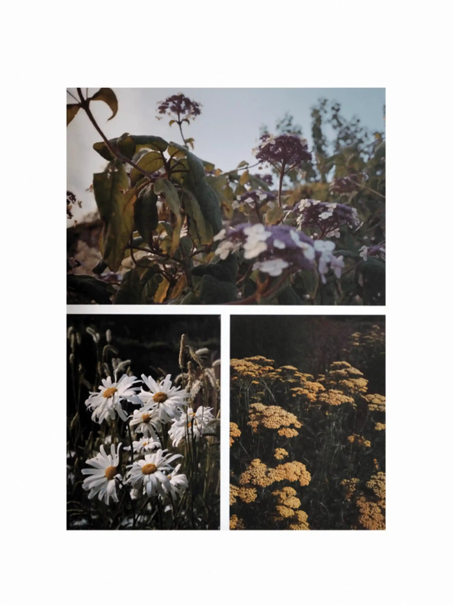 The Avant Gardens Coffee Table Book