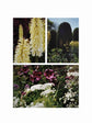 The Avant Gardens Coffee Table Book