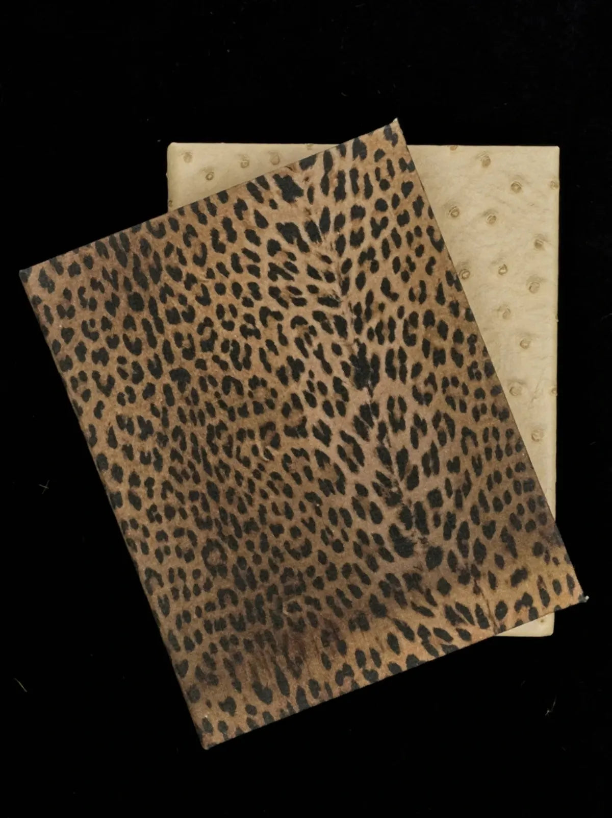 Animal Print Mini Book Box
